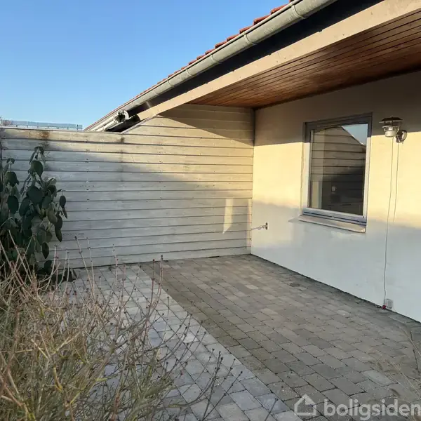 En overdækket terrasse ved et hus med grå vægge og vindue. Til venstre står en plante foran en trævæg, omgivet af en flisebelagt gårdhave.