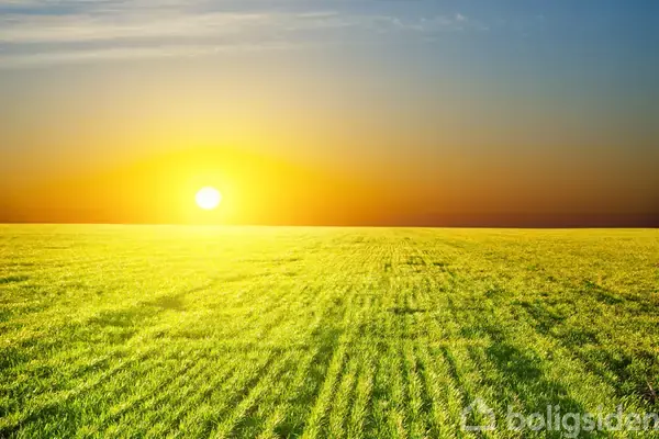 Planteavlsgård/-jord på Buderupholmvej 47, 9530 Støvring