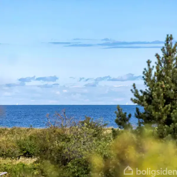 Havet ligger roligt bag et bælte af grønne buske og træer under en blå himmel med lette skyer.
