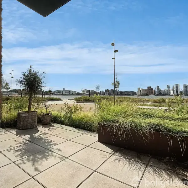 Terrassen har fliser med to planter i krukker, omkranset af grønne planter. I baggrunden er en flod, grønne områder, og skyskrabere under en klar blå himmel.