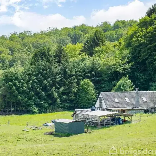 En hvid landejendom med mørkt tag står i en åben græsmark, omgivet af en tæt skov af grønne træer. En markbygning og nogle hegn er placeret ved siden af huset.