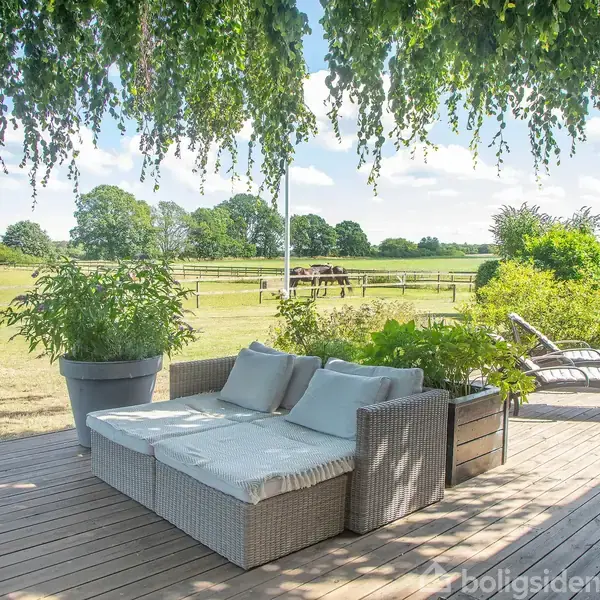 En udendørs terrasse har en sofa med puder, omgivet af grønne planter. I baggrunden ses en græsmark med hegn og træer under en blå himmel.