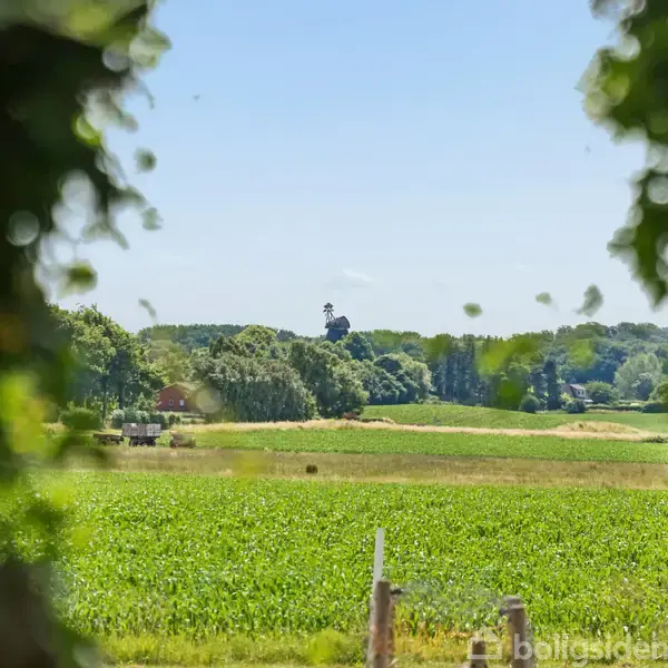 Udsigt gennem grønne blade til en landlig scene. En vidstrakt mark med græs forrest, omkranset af træer. Et skovområde ses i baggrunden under en blå himmel.