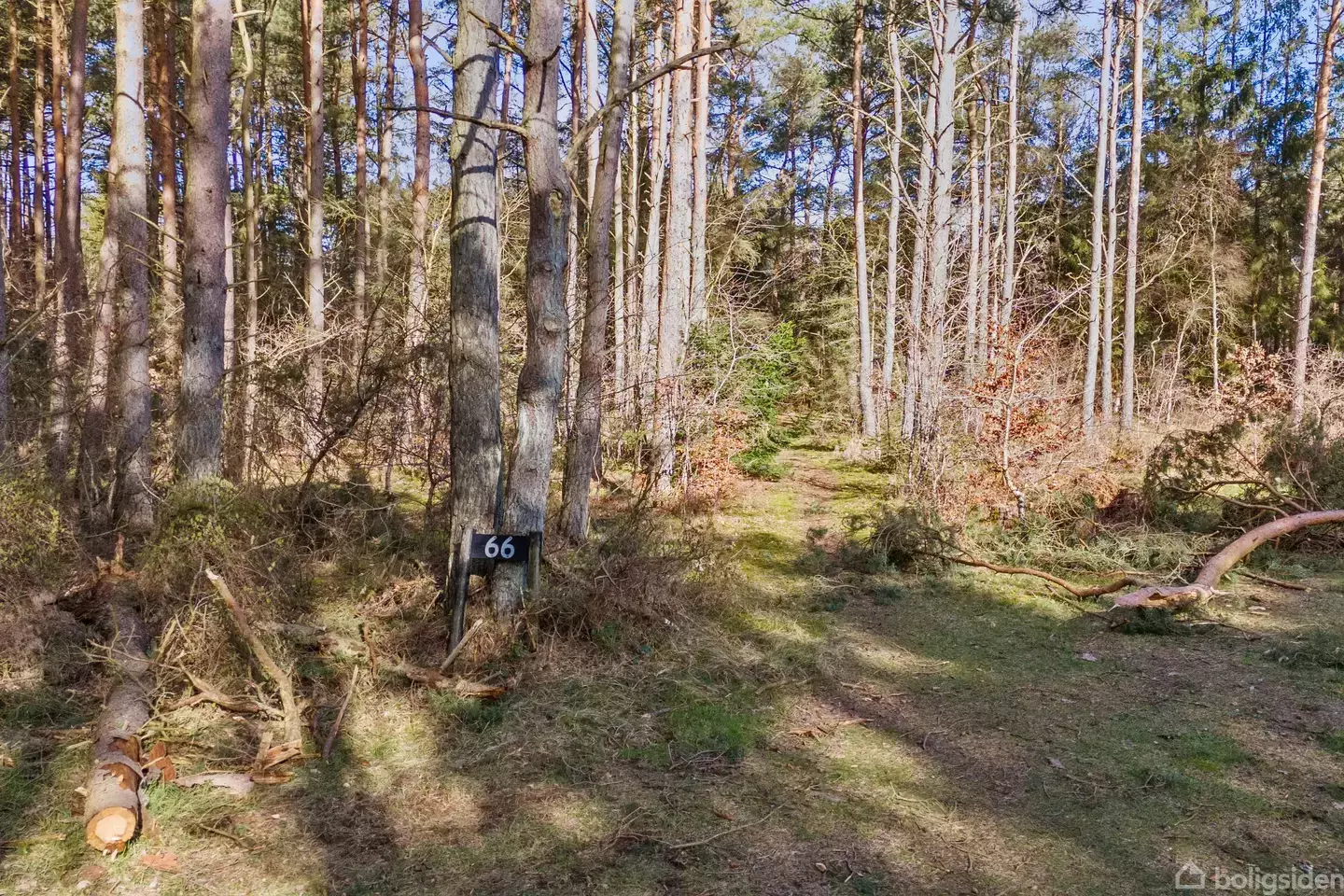 Odde Naturpark 66, Helberskov, Hadsund