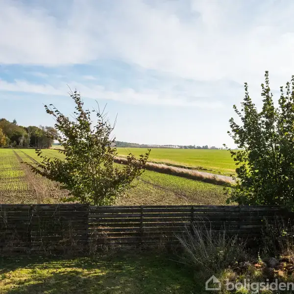 To træer står bag et lavt hegn i en have, med en stor grøn mark og skov i baggrunden under en blå himmel.