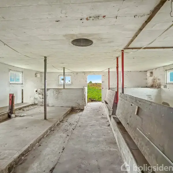 Et tomt staldmiljø med hvide vægge og betongulv. Der er stolper langs midten, og en dør i baggrunden åbner mod et grønt marklandskab udenfor.