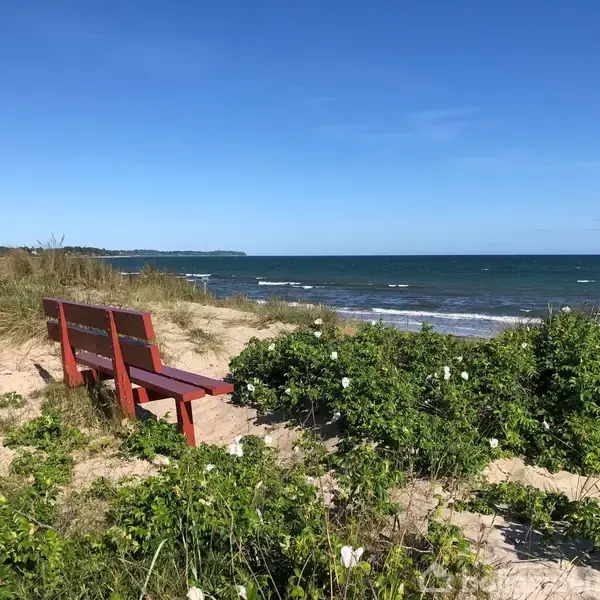 En rød bænk står stille på en græsklædt klit ved en sandstrand. Havet strækker sig i baggrunden under en klar blå himmel. Ingen tekst er synlig.
