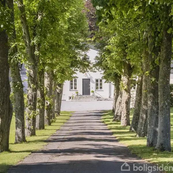En allé af høje træer leder op til en hvid bygning med en mørk dør og dekorative trin i baggrunden. Grønne græsplæner flankerer stien.
