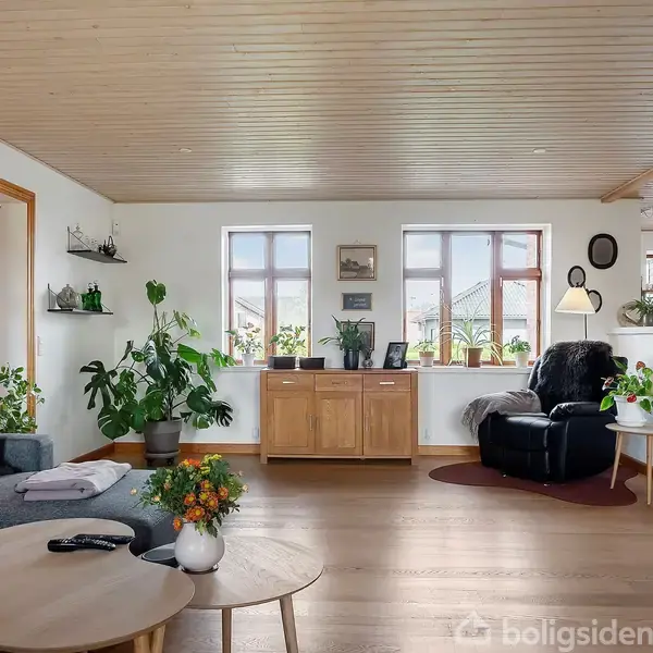 Stue med komfortable møbler, herunder en sort lænestol og grå sofa. Grønne planter pynter rummet, som har store vinduer og træloft, hvilket skaber en lys og hjemlig atmosfære.