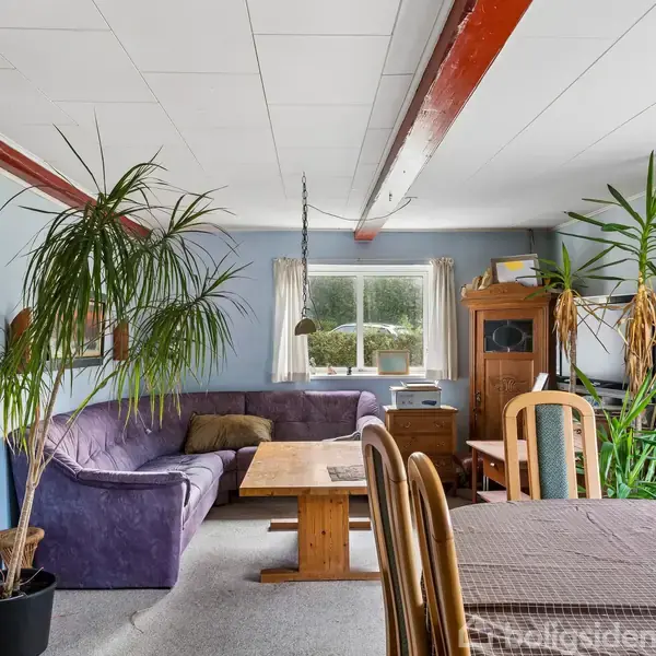 En stue med en lilla hjørnesofa står langs en væg ved et vindue. Ved siden af er der et træbord og spisestole. Rummet er dekoreret med grønne planter.
