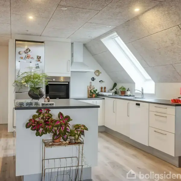 Et moderne køkken med hvide skabe og en kogeø. Grønne planter dekorerer rummet, som oplyses af et stort ovenlysvindue. Lyse trælaminatgulve og indbyggede spotlights.