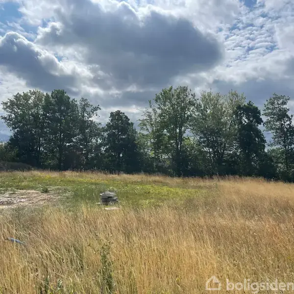 En gul eng strækker sig over billedet, mens en lastbil står stille på en grusvej i baggrunden. Omkring lastbilen er der spredte bygninger og grønne træer under en blå himmel med skyer.