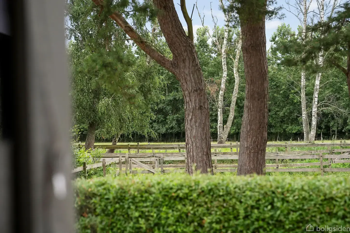 Ægte sommerhusidyl med naturudsigt - Visning 5