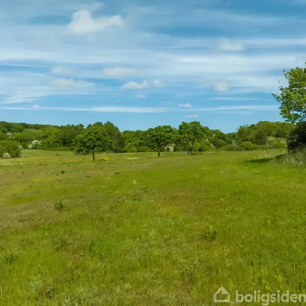 En grøn eng spredt ud med spredte træer under en lyseblå himmel. Landskabet er omgivet af skovbryn i horisonten.