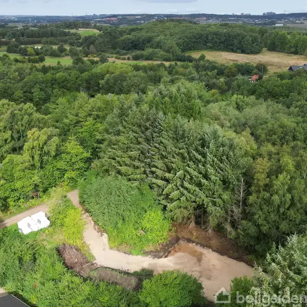 En hvid bygning står omgivet af tæt skov og grøn vegetation. Bygningen er placeret nær en sandet sti. I baggrunden ses vidtstrakte skovområder og marker under en delvist overskyet himmel.