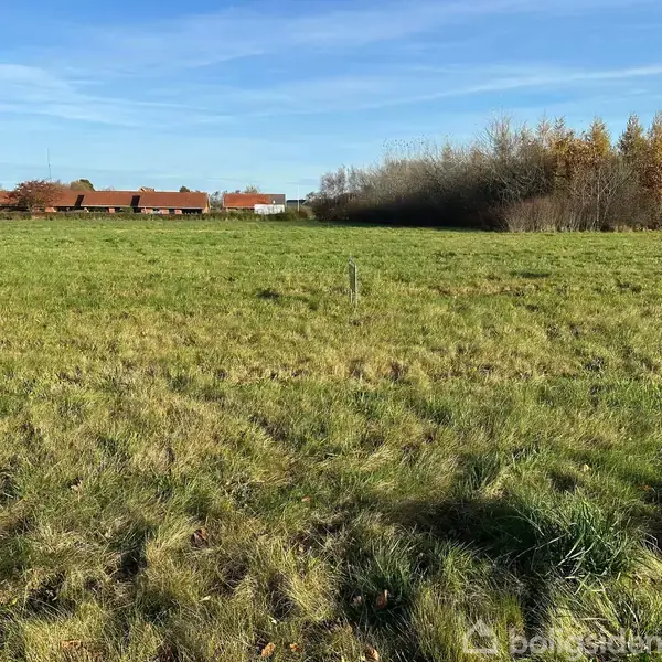 En åben græsmark strækker sig mod horisonten. Flere rødt tagede huse ses i baggrunden til venstre, mens beplantning danner en kant til højre. Ingen tekst til stede.