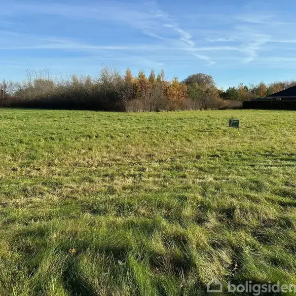 Græsbevokset mark med et lille skilt står ubevægeligt. I baggrunden ses træer og nogle huse. Himlen er blå med lette skyer.