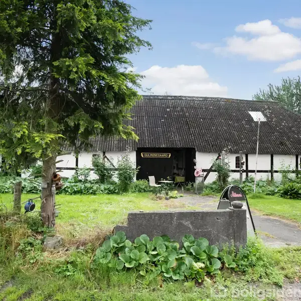 En gammel, hvid bygning med stråtag står i en frodig have omgivet af træer. Et skilt med teksten "Atelier Fiskergade" hænger på bygningen. Der er en asfalteret indkørsel foran.