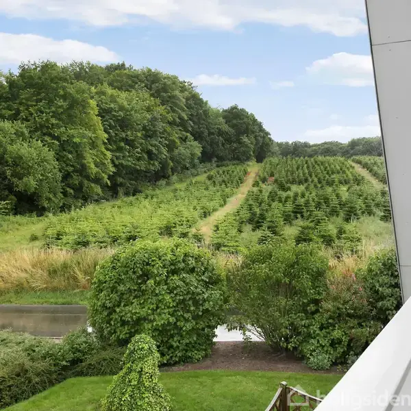 Et lyst køkken med hvide skabe og sorte bordplader. En kaffemaskine og planter står på bordet. Trægulve og vinduer giver udsigt til grønne omgivelser. Belysning i loftet.