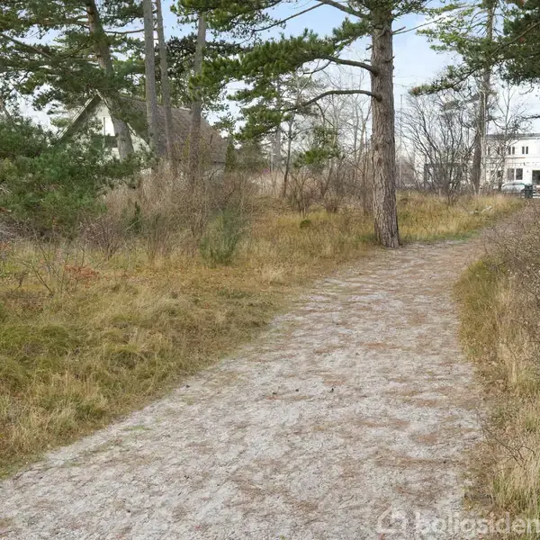 En skovsti strækker sig gennem et skovområde med høje træer og græs på begge sider. I baggrunden ses huse blandt naturen. Ingen tekst fundet i billedet.
