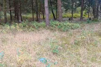 Helårsgrund på Søndre Smalbyvej 4H, 9370 Hals