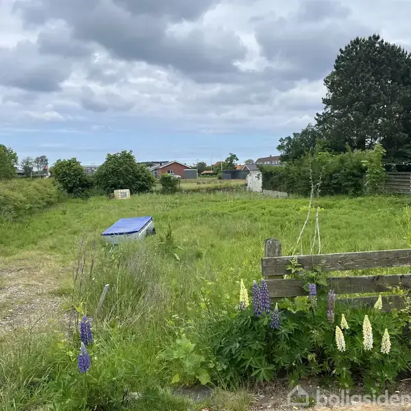 En græsplæne med vilde blomster i forgrunden, hvor en blå genstand ligger på jorden. Omgivet af buske, træer og et hus til højre under en overskyet himmel.