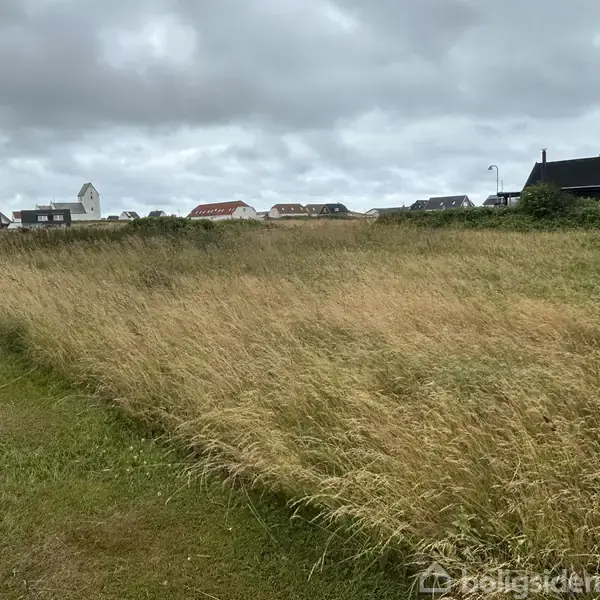 Græsmark bøjer i vinden, omgivet af en række huse i baggrunden under en overskyet himmel.