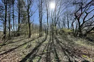 Helårsgrund på Lundgårdsvej 1C, 8800 Viborg
