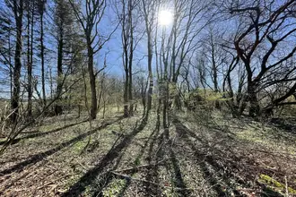 Helårsgrund på Lundgårdsvej 1C, Lundgård, 8800 Viborg