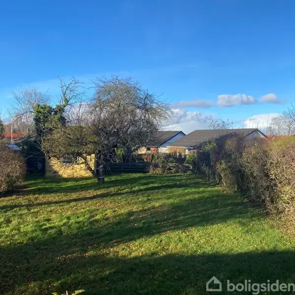 En frodig have med græsplæne og buske, omgivet af tætte hække. I baggrunden ses et par tage fra nærliggende bygninger under en blå himmel med få skyer.