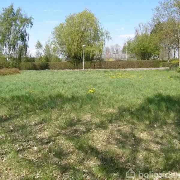 Græsplæne ligger under sollys, omgivet af træer og hække, med enkelte gule blomster spredt på plænen. Det er en rolig haveomgivelse under en blå himmel.