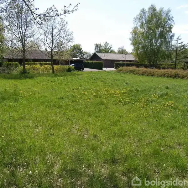 Græsplæne vokser på en stor åben grund foran nogle huse, omgivet af træer og buske i en landlig have.