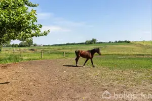 Landejendom på Åsø Mosevej 13, 4171 Glumsø