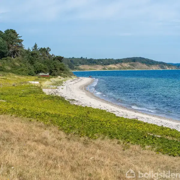 En lang sandstrand strækker sig langs kysten, omgivet af græsklædte bakker og tæt skov. Havet er klart og blåt, mens himlen er let overskyet.
