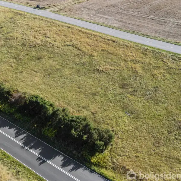 En græsklædt mark ligger mellem to veje. Den nederste vej er flankeret af buske, mens den øverste vej løber langs en pløjet mark.