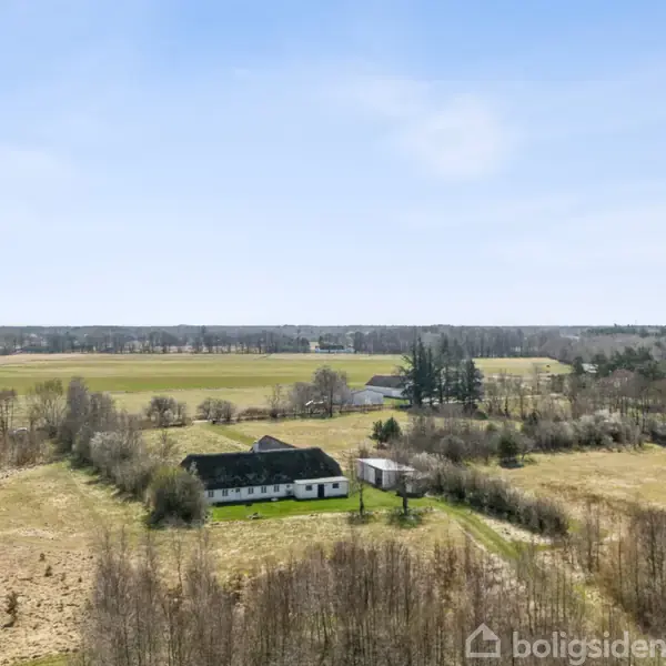Træer dækker en flad slette med udsigt over havet. Skovområdet strækker sig mod horisonten under en klar blå himmel.