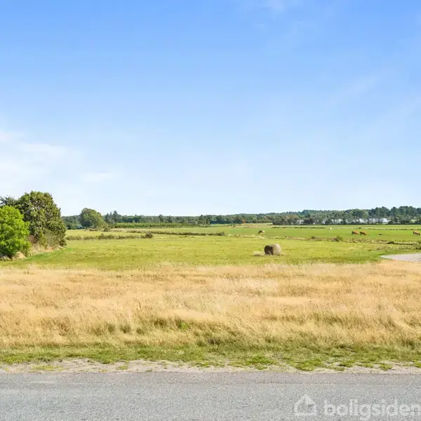 En mark med tørt græs strækker sig mod en grøn eng i baggrunden. En landevej ligger i forgrunden, og en vertikal bygning ses til højre.