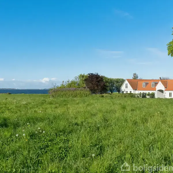 Et hvidt hus med orange tag ligger stille ved en stor grøn mark. I baggrunden ses himmel og vand. En stor grøn trætræ rammer højre side af billedet.