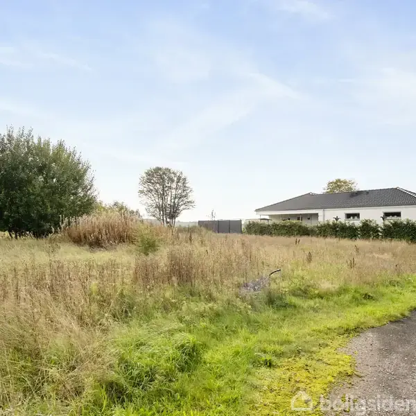 Et hvidt hus med mørkt tag står stille ved siden af en grusvej omgivet af højt græs og et par træer, under en klar, blå himmel.