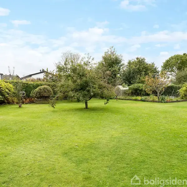 En frodig græsplæne med et enkelt træ står i midten. I baggrunden ses store buske, træer og en gynge, under en blå himmel med få skyer.