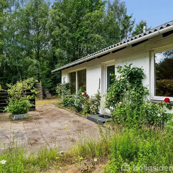 En hvid bungalow med store vinduer står i en have med vilde blomster og buske. En stenterrasse med en trappe fører op til huset, omgivet af træer.