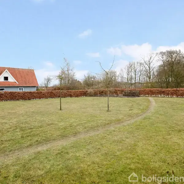 To træer står på en grøn græsplæne med en sti, omgivet af hække. I baggrunden er der to huse med rødt og sort tag, samt træer uden blade.