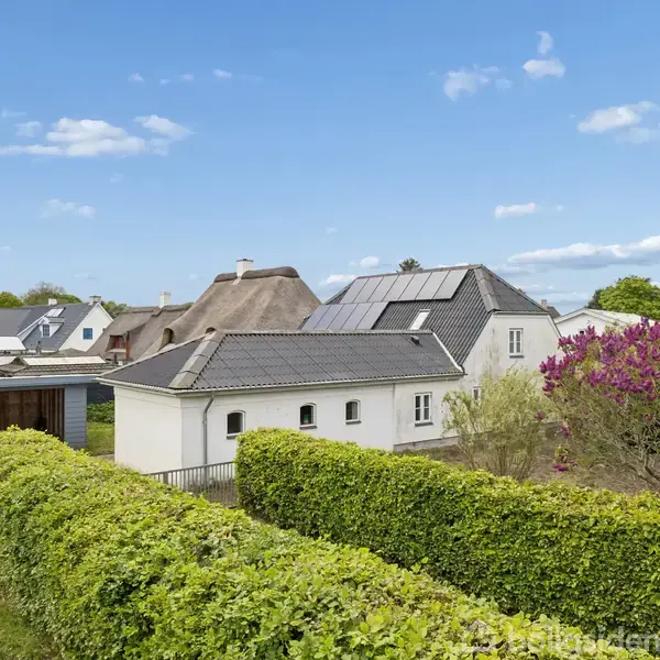Hvidt hus med solpaneler på taget står stille omgivet af en veltrimmet hæk og lilla blomsterbuske, i et roligt kvarter med flere huse under en klar, blå himmel.