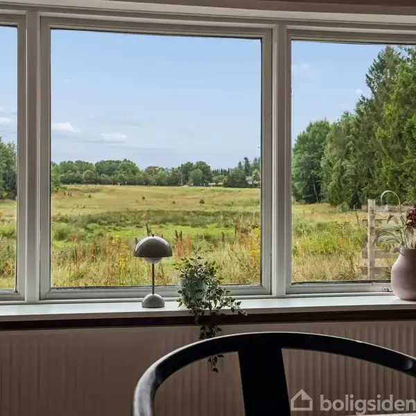 Et stort vindue viser en grøn, åben eng omgivet af træer. Indendørs står pyntegenstande og planter på vindueskarmen. Skove ses i baggrunden under en blå himmel.
