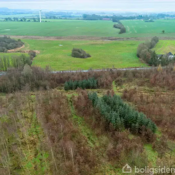 Skovområde set fra luften med grønne og brune træer, omgivet af åbne marker og en vej. I baggrunden ses en vindmølle og spredte bebyggelser.