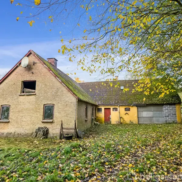 Et gammelt murstenshus med mos på taget står stille i en grøn have dækket af gule efterårsblade. Et stort træ ses til højre.