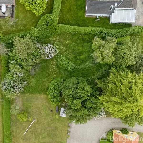Grønt område med træer og buske, set oppefra, omgivet af en vej og huse. En grussti og hække strukturerer miljøet.