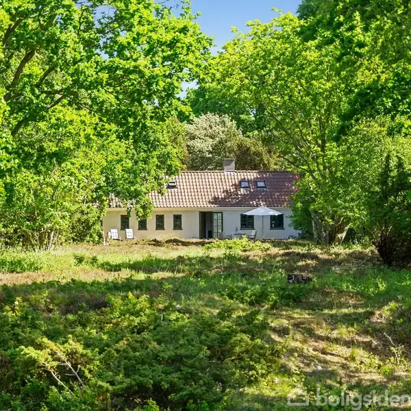 Et hvidt hus med rødt tegltag står blandt frodige træer og grønt græs. Solen skinner, og huset er omgivet af en rolig og naturlig skovhave.