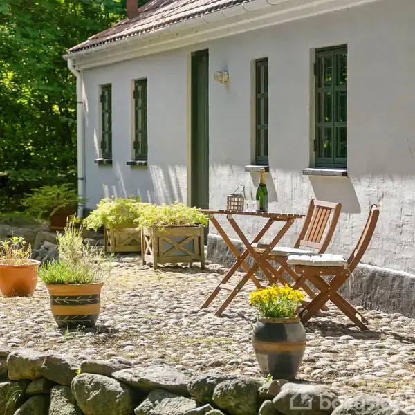 Terrasse med bord og to stole i træ foran en hvid bygning med grønne vinduer. Omgivet af forskellige potteplanter og stenet underlag, beliggende i et skovområde. Flasker og glas på bordet.