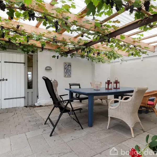 Blåt bord med stole omkring står under en pergola dækket af grønne vinranker. Baggrunden viser en hvid dør og en hvid væg. Lanterna står på bordet.